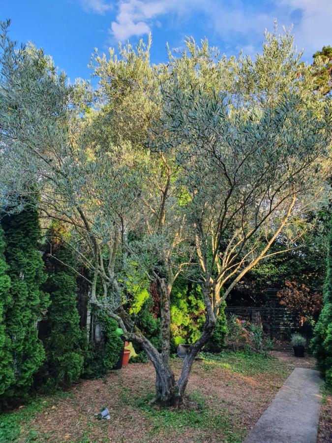 Cypress Garden Lejlighed Portorož Eksteriør billede