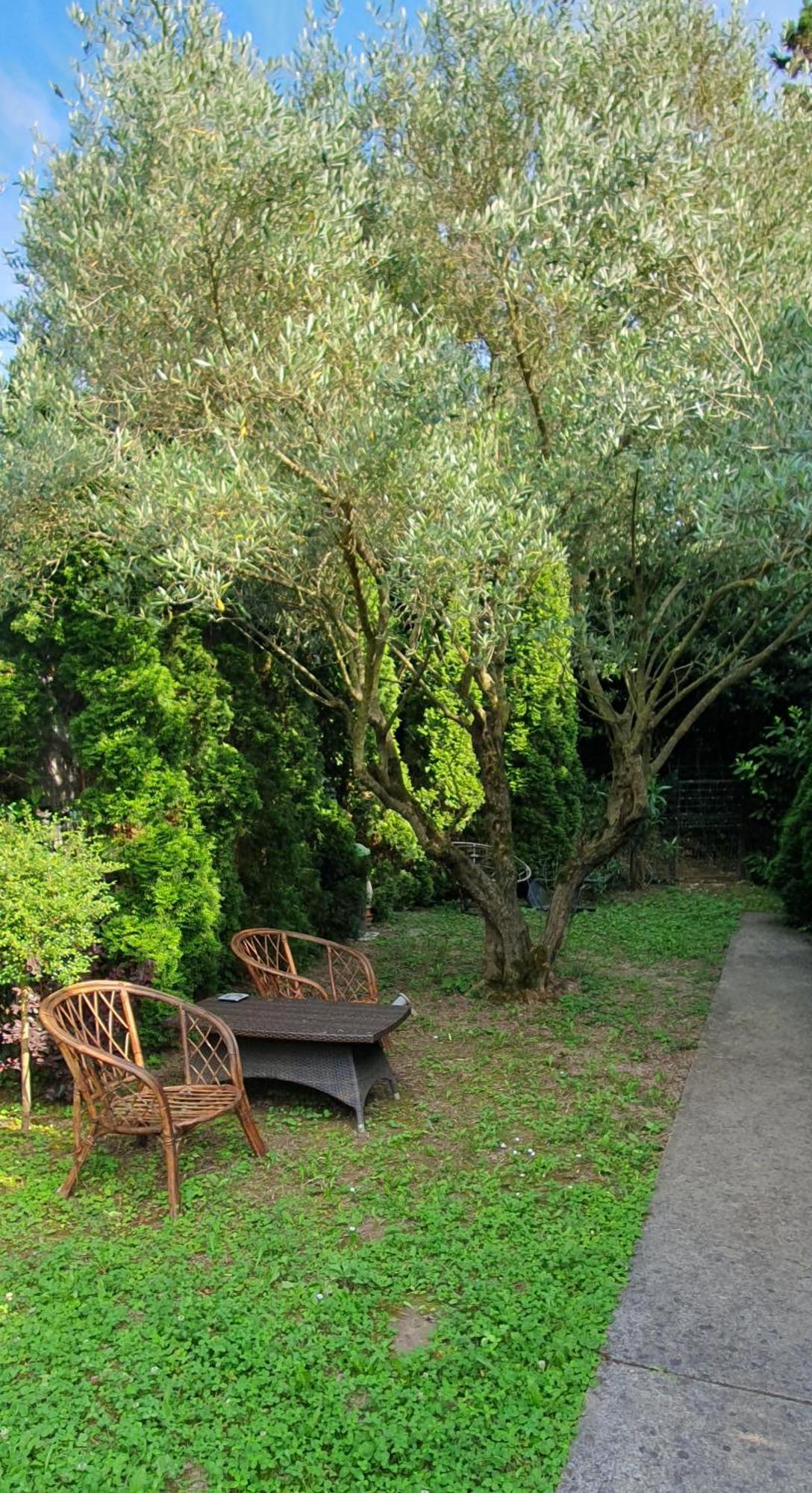 Cypress Garden Lejlighed Portorož Eksteriør billede